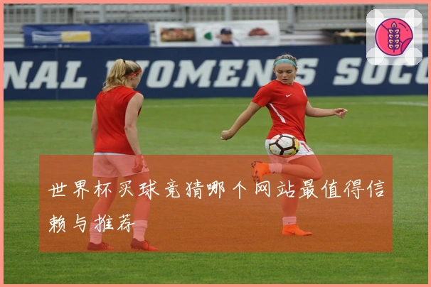 世界杯买球竞猜哪个网站最值得信赖与推荐