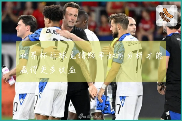 世界杯让球竞猜赔率如何分析才能赢得更多收益