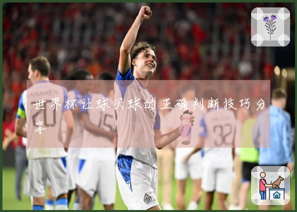 世界杯让球买球的正确判断技巧分享