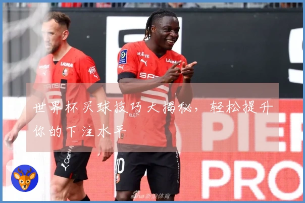 世界杯买球技巧大揭秘，轻松提升你的下注水平