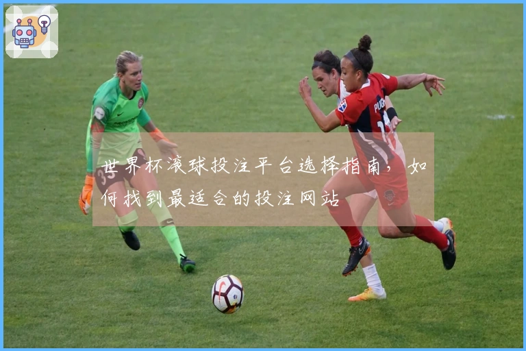 世界杯滚球投注平台选择指南，如何找到最适合的投注网站