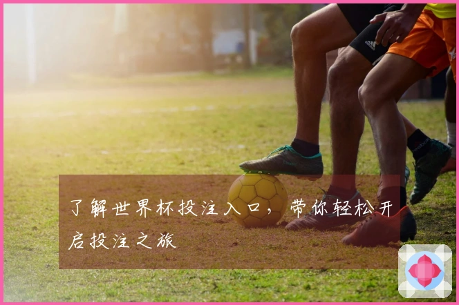 了解世界杯投注入口，带你轻松开启投注之旅