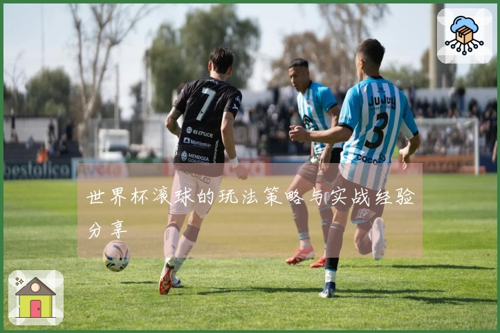 世界杯滚球的玩法策略与实战经验分享