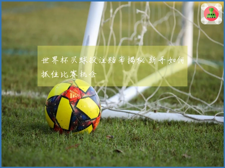 世界杯买球投注赔率揭秘 新手如何抓住比赛机会
