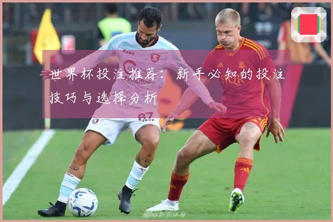 世界杯投注推荐：新手必知的投注技巧与选择分析
