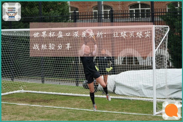 世界杯盘口深度分析：让球买球实战经验分享
