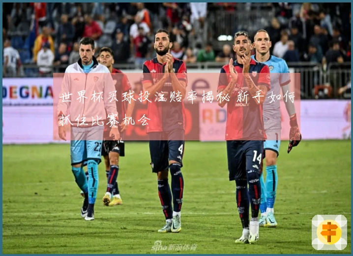 世界杯买球投注赔率揭秘 新手如何抓住比赛机会