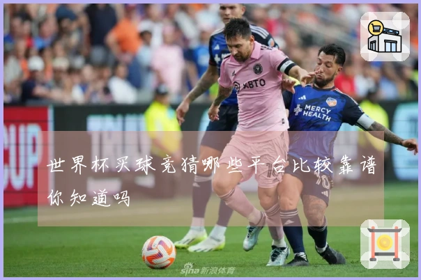 世界杯买球竞猜哪些平台比较靠谱你知道吗
