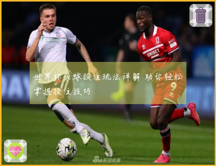 世界杯买球投注玩法详解 助你轻松掌握投注技巧