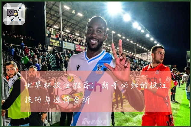 世界杯投注推荐：新手必知的投注技巧与选择分析