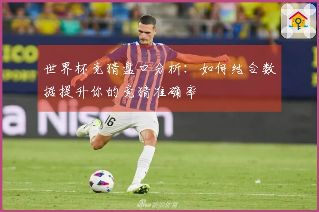 世界杯竞猜盘口分析：如何结合数据提升你的竞猜准确率