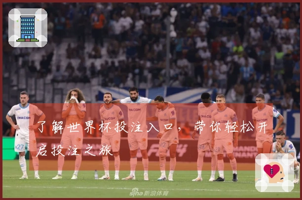 了解世界杯投注入口，带你轻松开启投注之旅