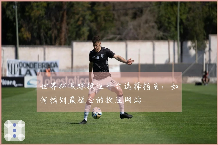 世界杯滚球投注平台选择指南，如何找到最适合的投注网站