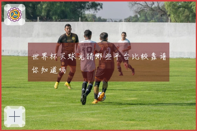 世界杯买球竞猜哪些平台比较靠谱你知道吗