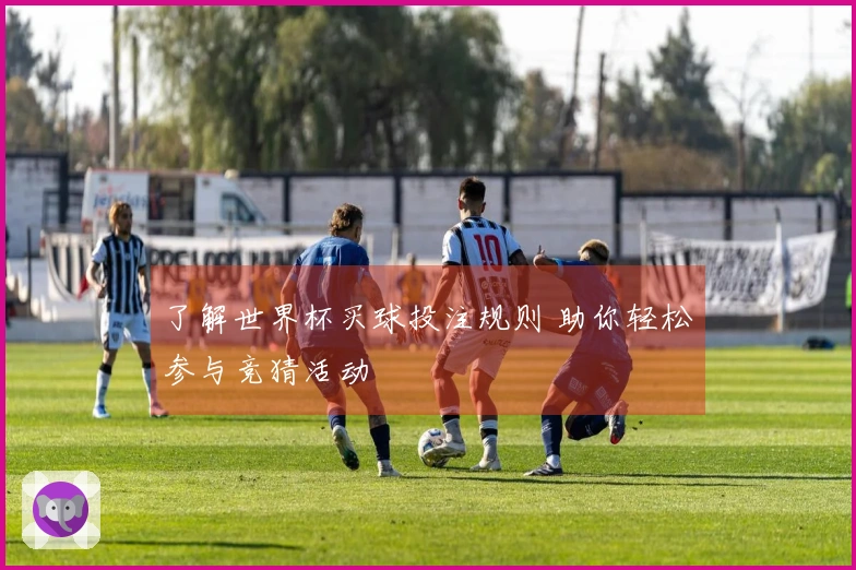 了解世界杯买球投注规则 助你轻松参与竞猜活动
